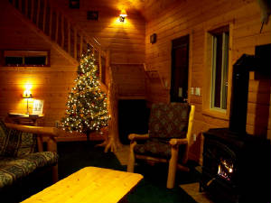 Traverse City Christmas Thanksgiving Vacation Rent